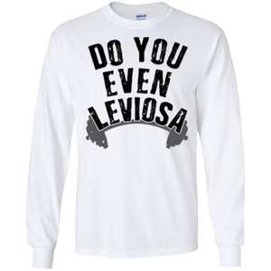 Harry Potter - Do you even leviosa