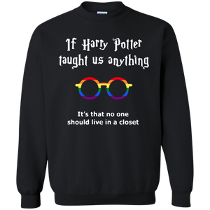 IF Harry Potter Taught ... - JUST TODAY