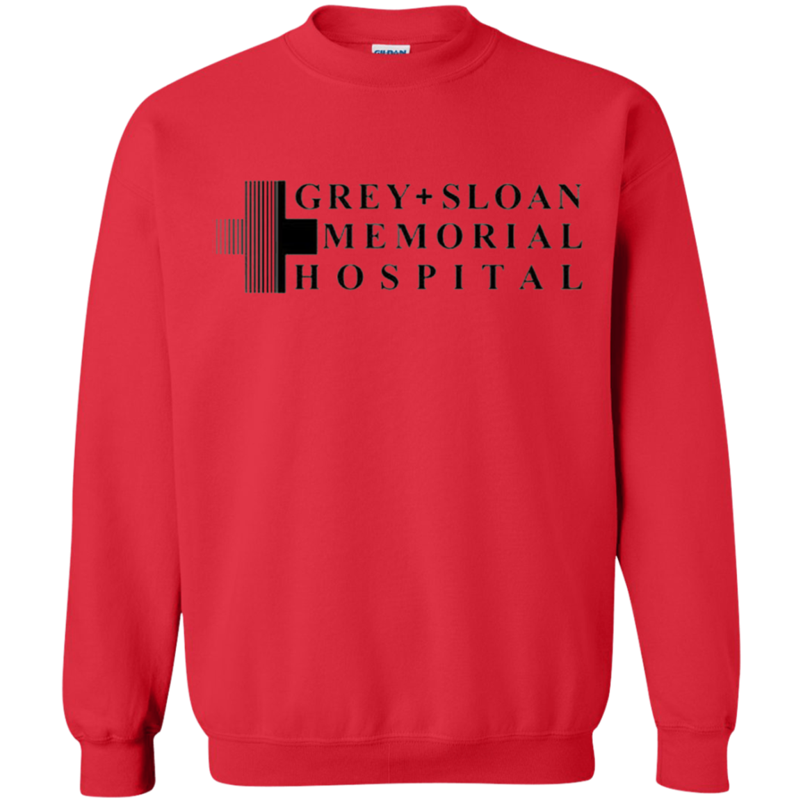 Grey's anatomy 2019 - Memorial Hospital