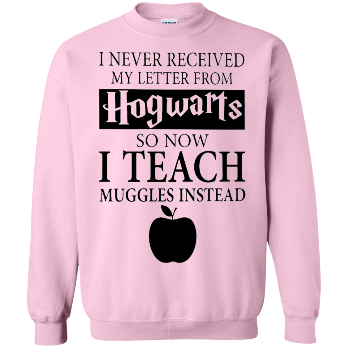 Harry Potter - I never received my letter from Hogwarts so now i teach muggles instead