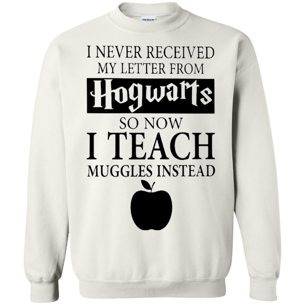 Harry Potter - I never received my letter from Hogwarts so now i teach muggles instead