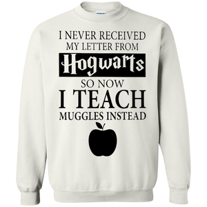 Harry Potter - I never received my letter from Hogwarts so now i teach muggles instead