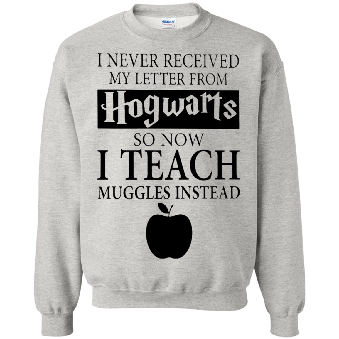 Harry Potter - I never received my letter from Hogwarts so now i teach muggles instead