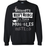 Harry Potter - Hogwarts wasn't hiring so i teach muggles instead