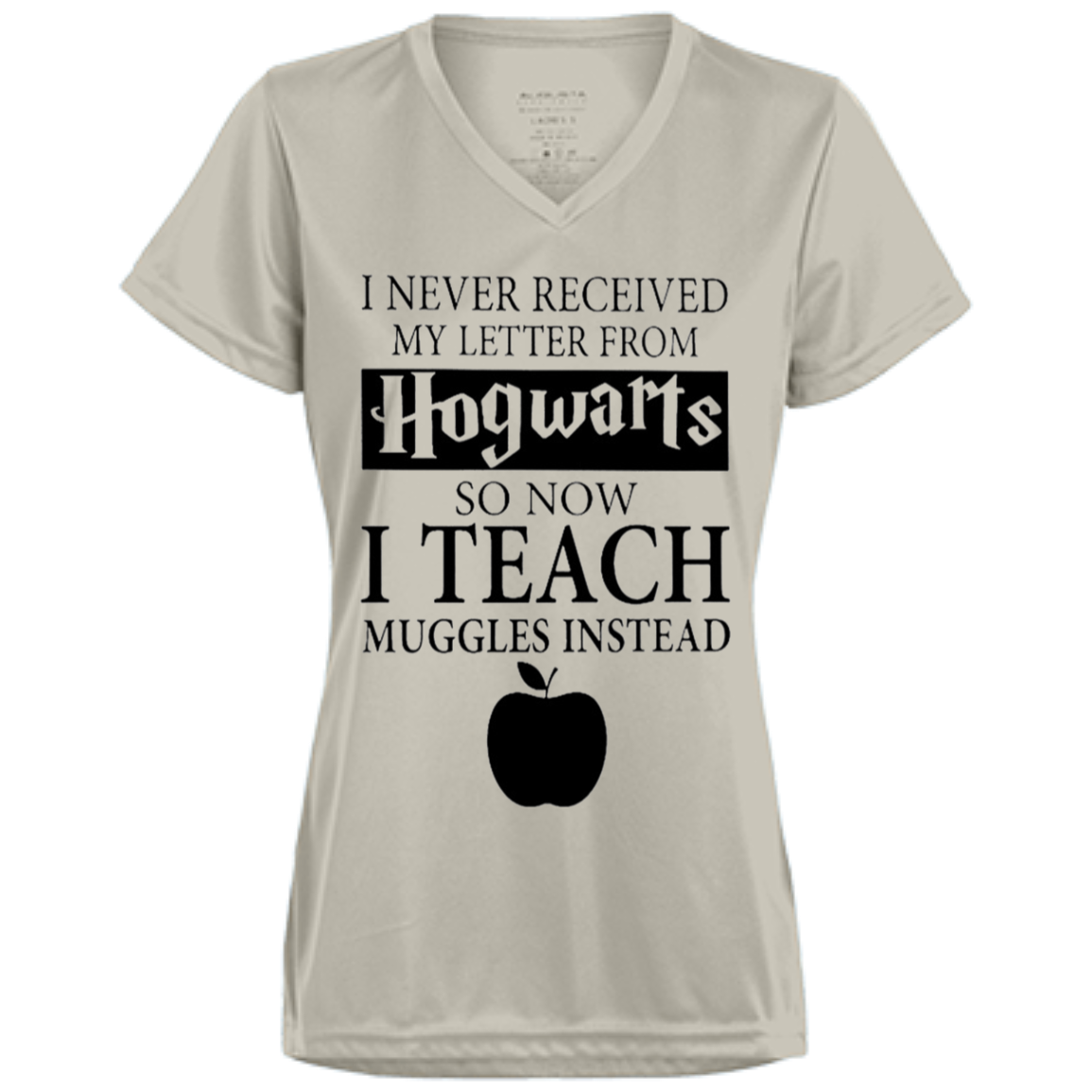 Harry Potter - I never received my letter from Hogwarts so now i teach muggles instead