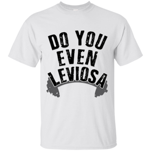 Harry Potter - Do you even leviosa
