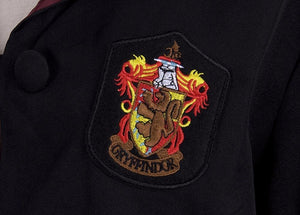 NEW Harry Potter costume